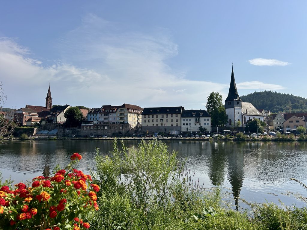 Blick über den Neckar auf die Altstadt von Neckargemünd