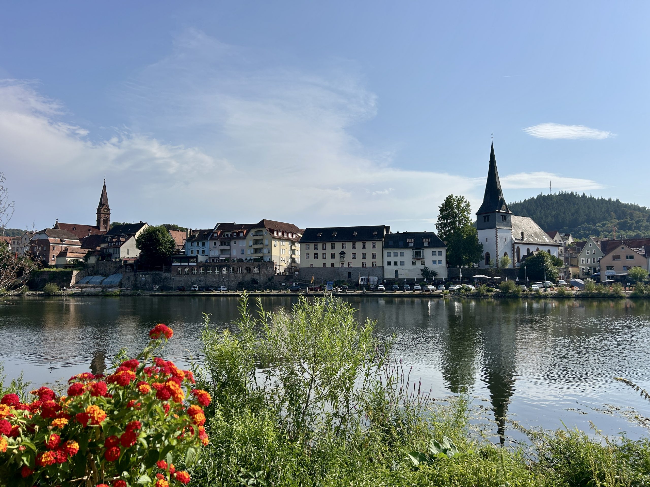 Leben in Neckargemünd – Zwischen Neckar, Natur & Heidelberg